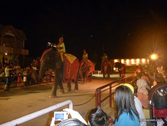 cowboy-town-elephant