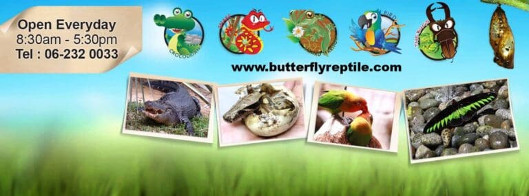 Taman Rama-Rama Melaka